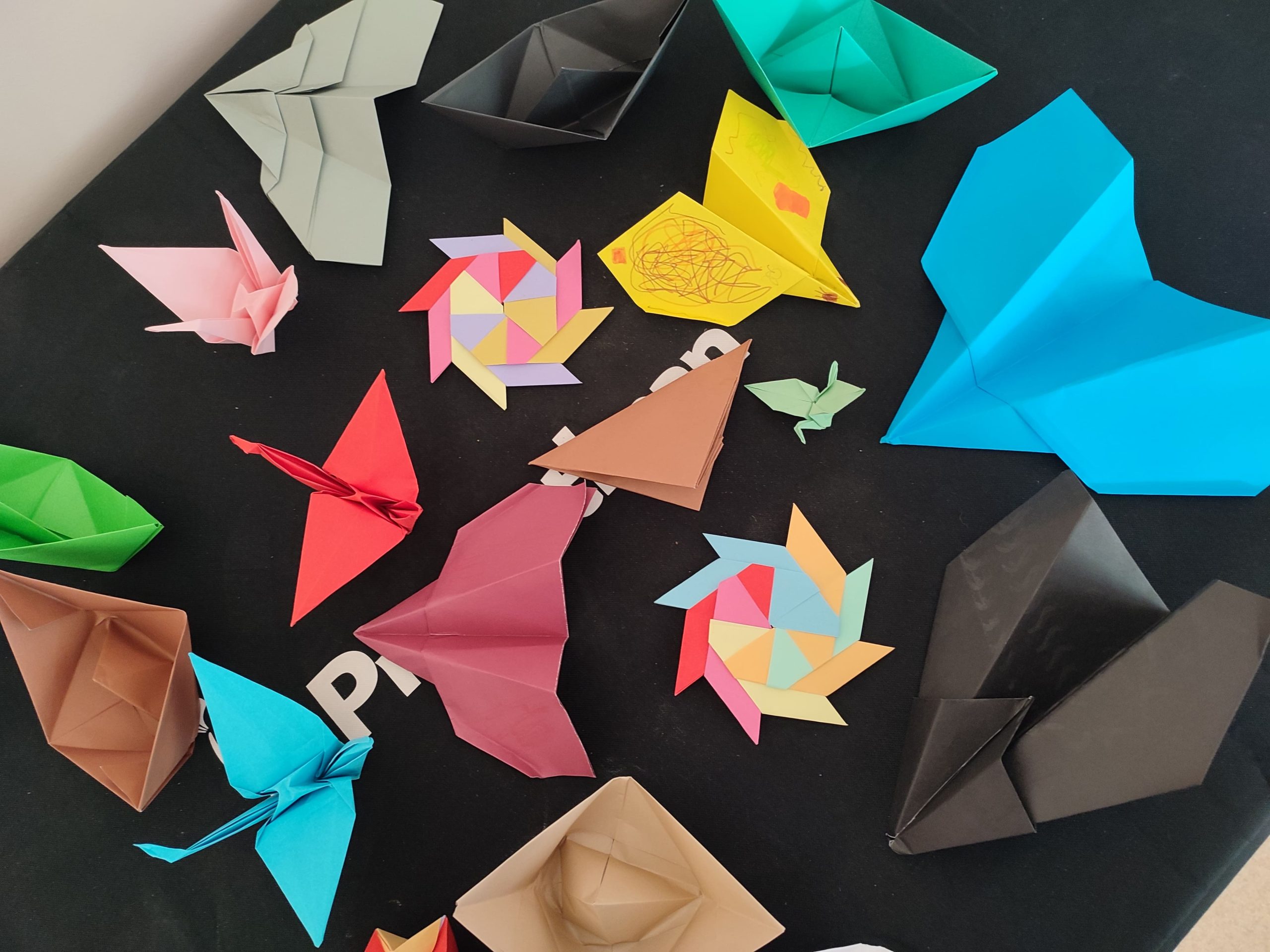 Подробнее о статье Программа лагеря